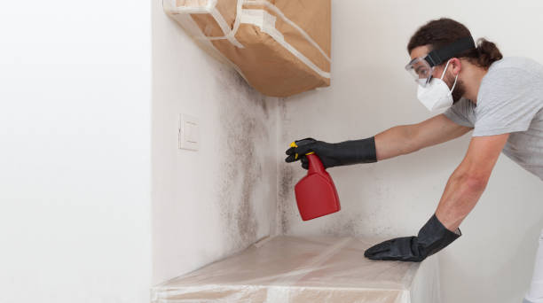 Professional Attic Mold Remediation technician working in Medina, MN