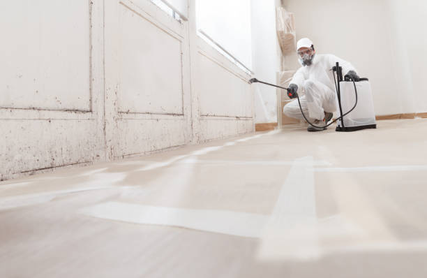 24/7 Emergency Attic Mold Remediation experts in Medina, MN